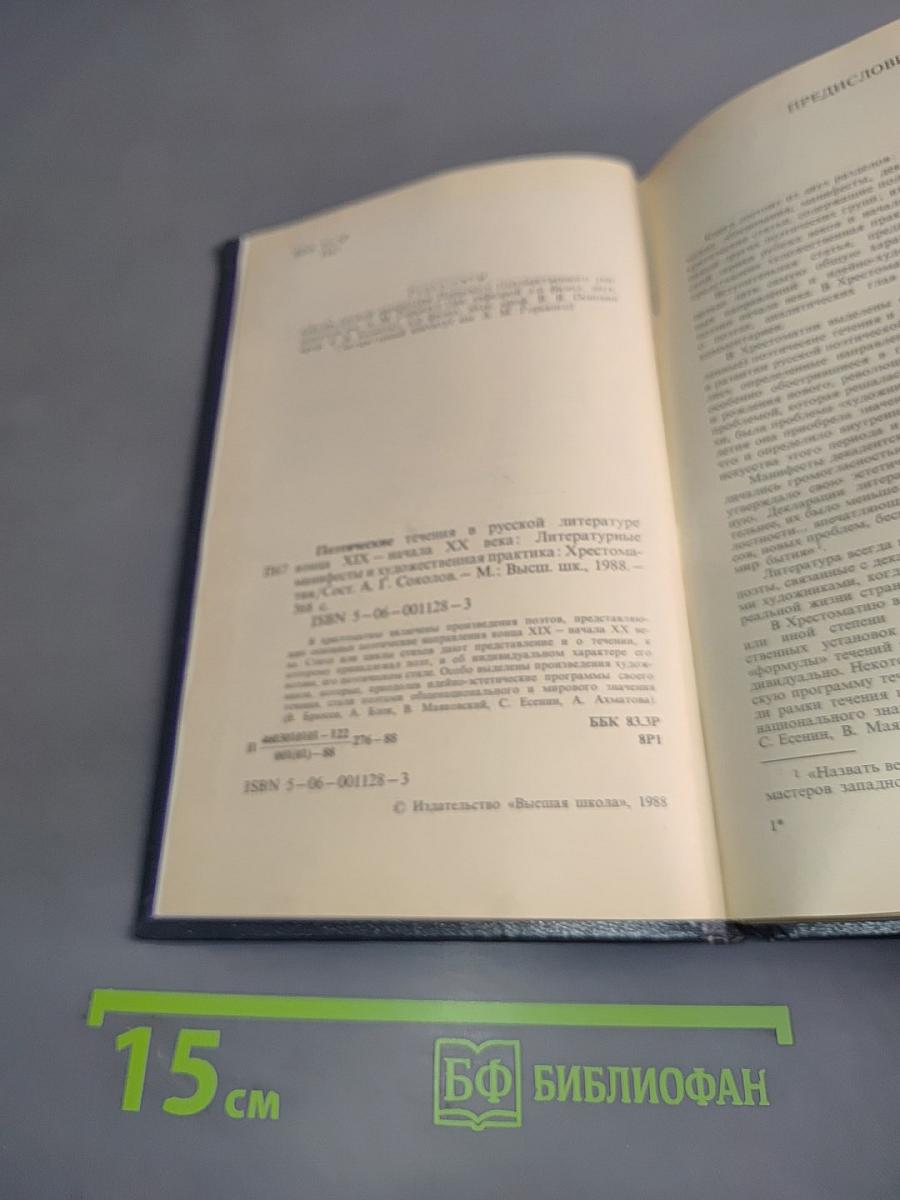 Поэтические течения в русской литературе конца XIX – начала XX века. Хрестоматия