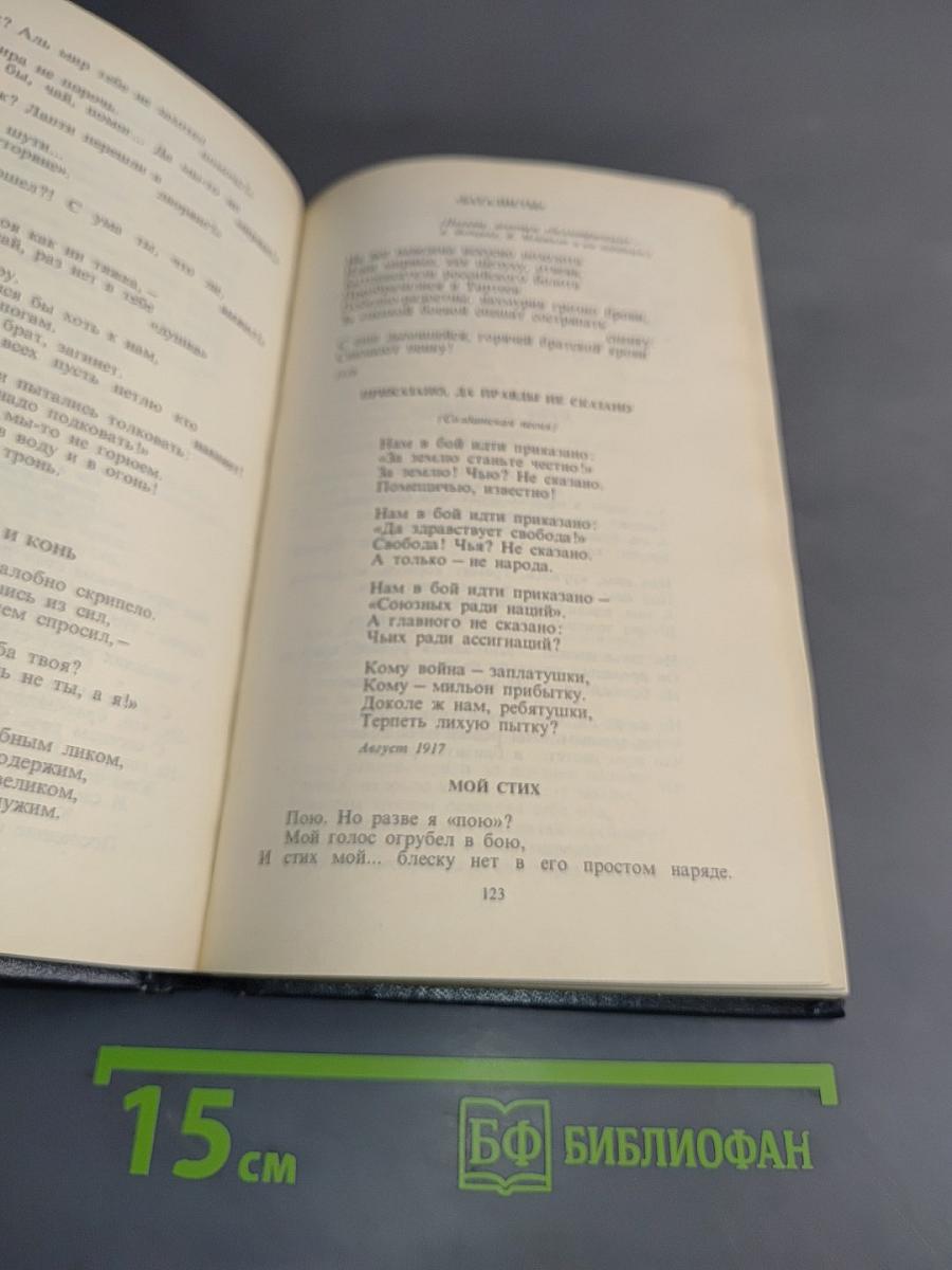 Поэтические течения в русской литературе конца XIX – начала XX века. Хрестоматия