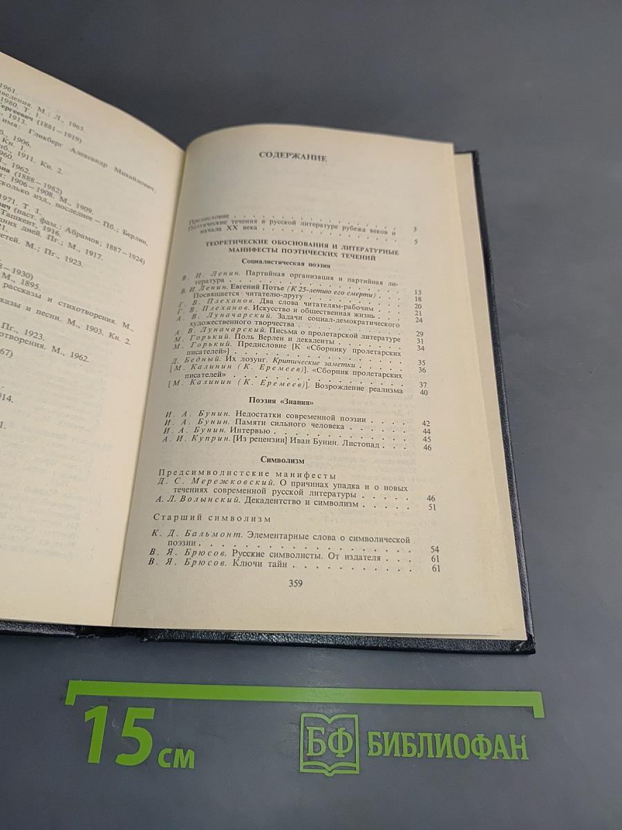 Поэтические течения в русской литературе конца XIX – начала XX века. Хрестоматия