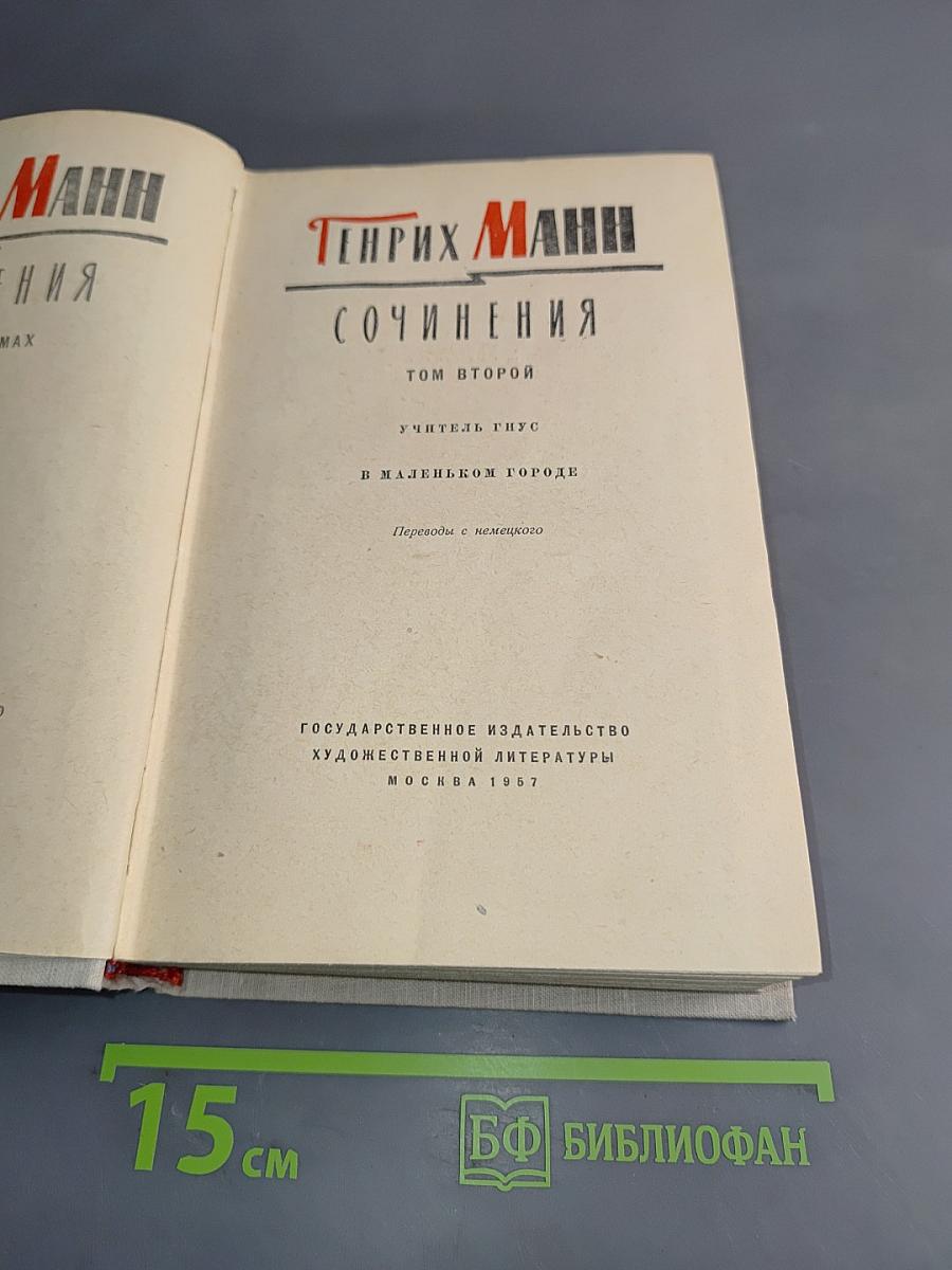 Сочинения. Том второй. Учитель Гнус. В маленьком городе