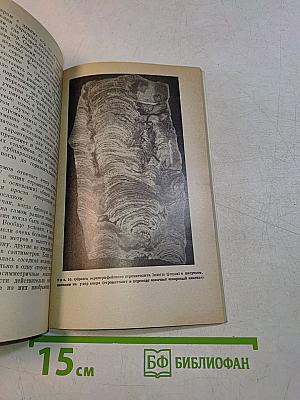 На заре жизни. Органический мир докембрия