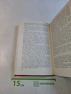 Беллини. Франческо Пастура. Жизнь замечательных людей