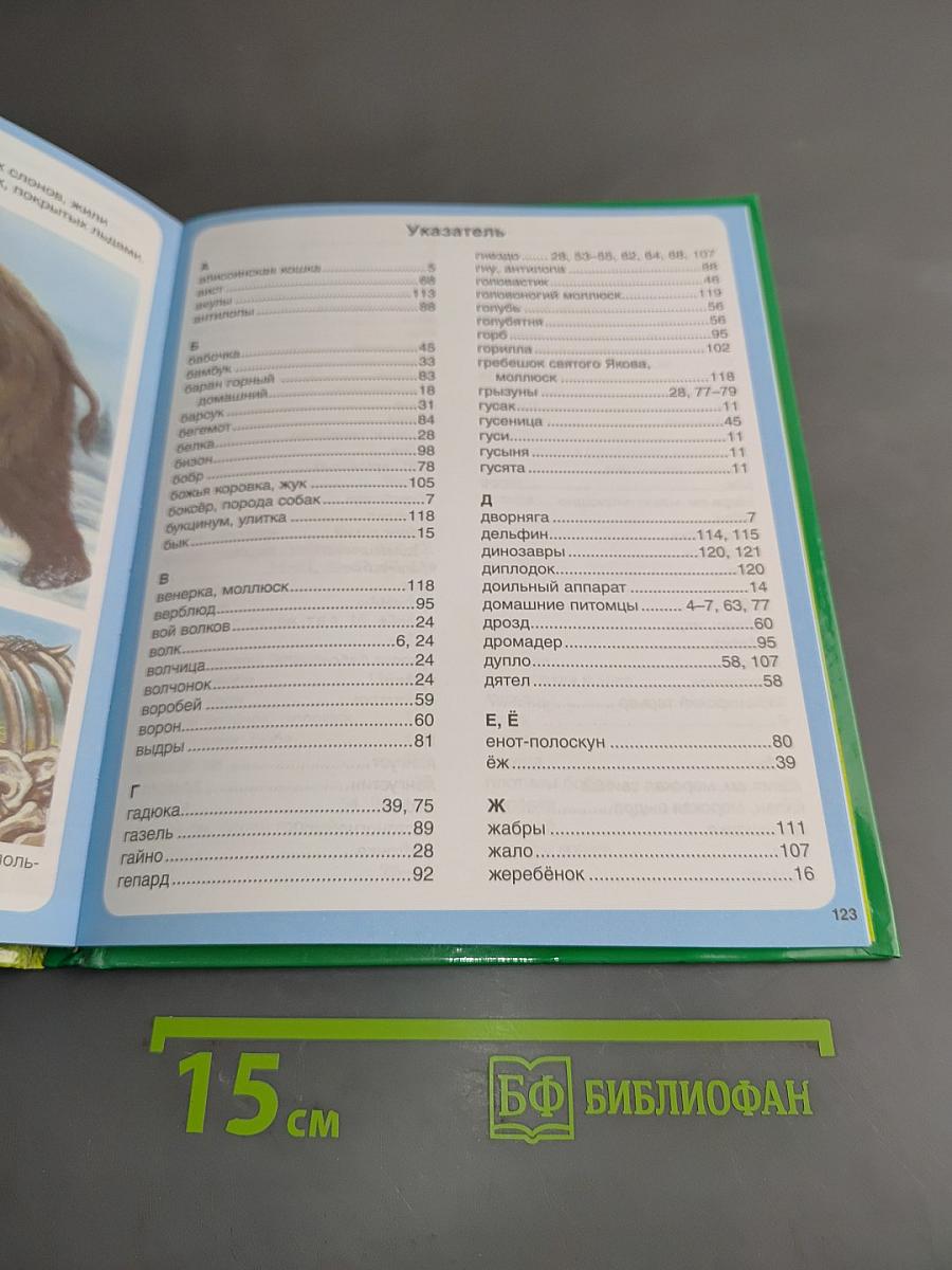 Животные. Твоя первая энциклопедия