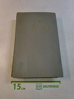 Собрание сочинений. Том двенадцатый. Письма 1895-1904