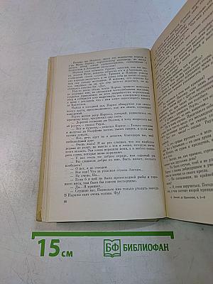 Виконт де Бражелон, или Десять лет спустя. Части 5, 6