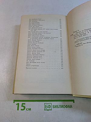 Виконт де Бражелон, или Десять лет спустя. Части 5, 6