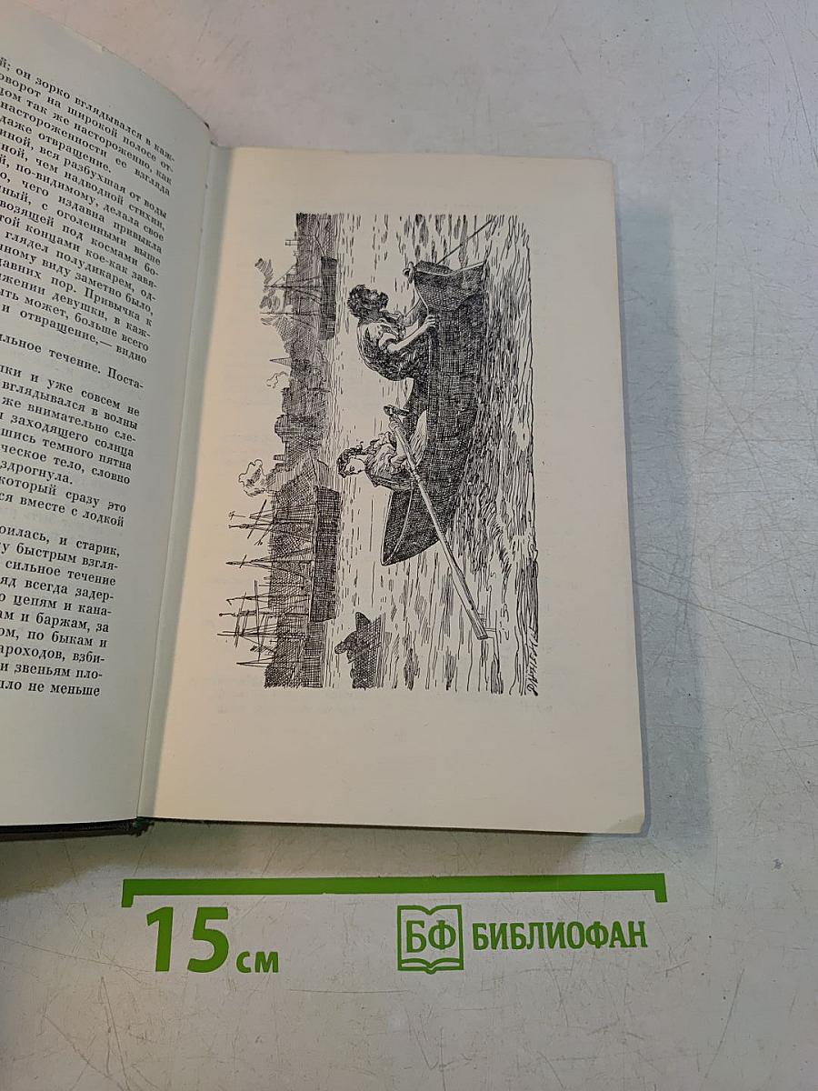 Собрание сочинений. Том двадцатый четвертый. Наш общий друг. Книга первая и вторая