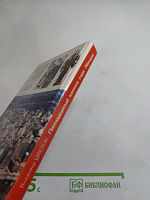 Пятнадцатый камень сада Рёандзи