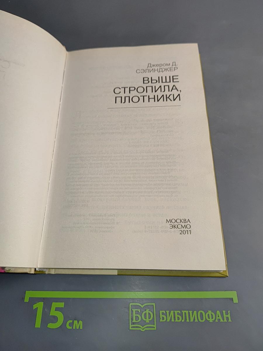 Выше стропила, плотники