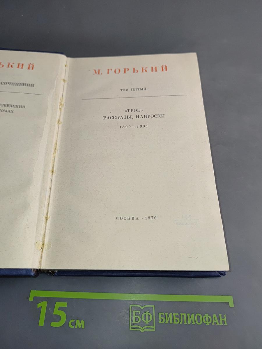Собрание сочинений. Том пятый. "Трое", рассказы, наброски 1899-1901