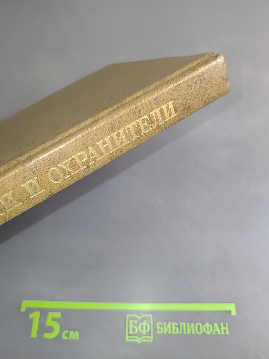 Мистики и хранители