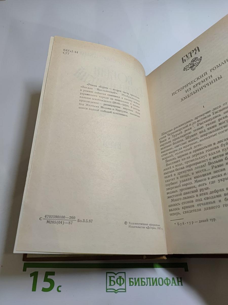 Богдан Хмельницкий. Книга вторая. Буря