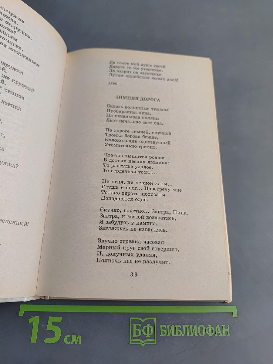 Хрестоматия школьника. Из русской поэзии XIX век. Стихотворения