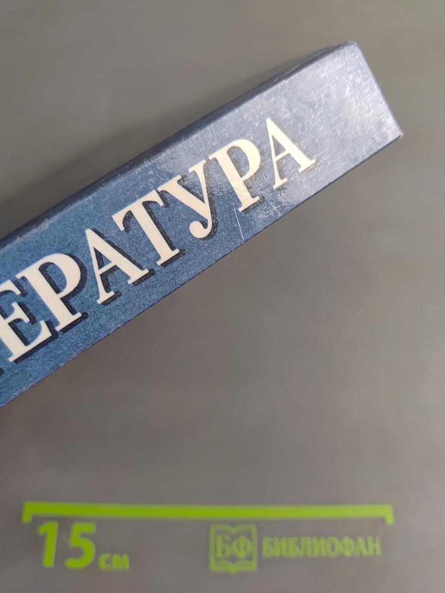Литература 6