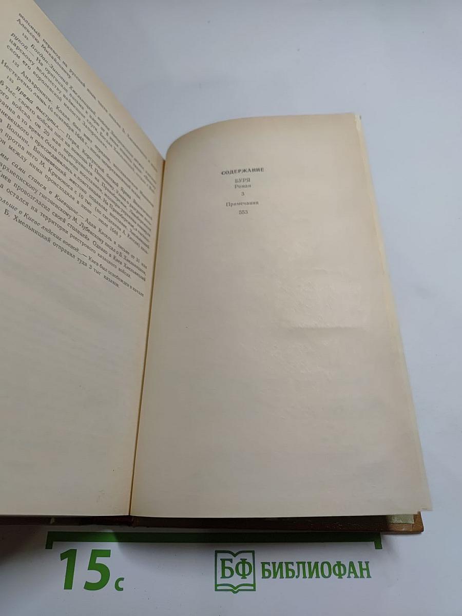Богдан Хмельницкий. Книга вторая. Буря