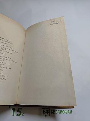 Богдан Хмельницкий. Книга вторая. Буря