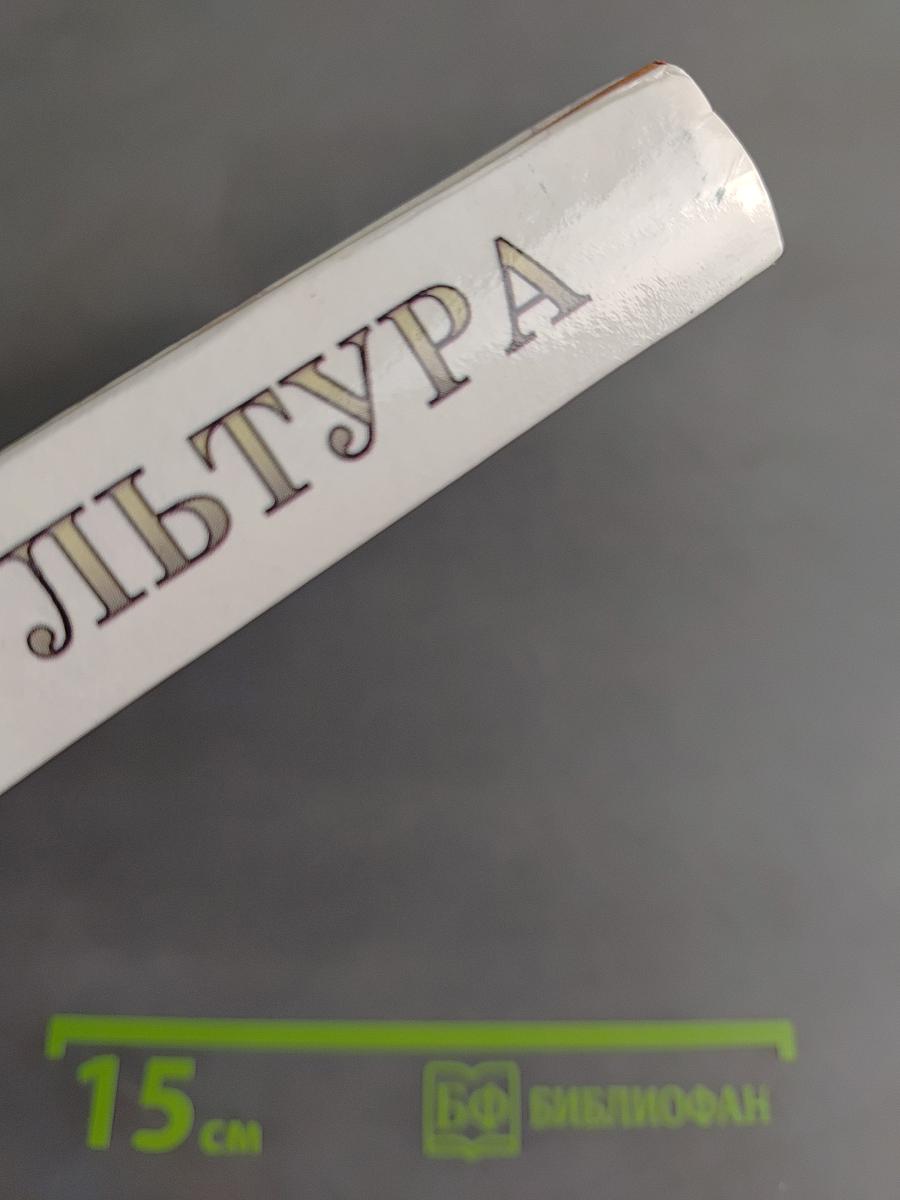 Человек и культура. Введение в курс "Мировая художественная культура"