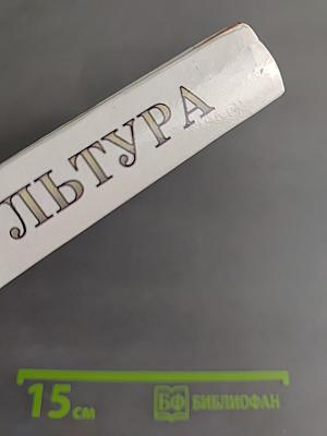 Человек и культура. Введение в курс "Мировая художественная культура"