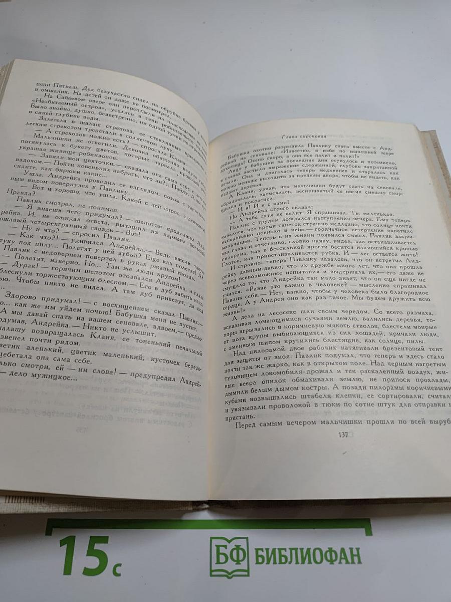 Арсений Рутько. Избранное. Том второй