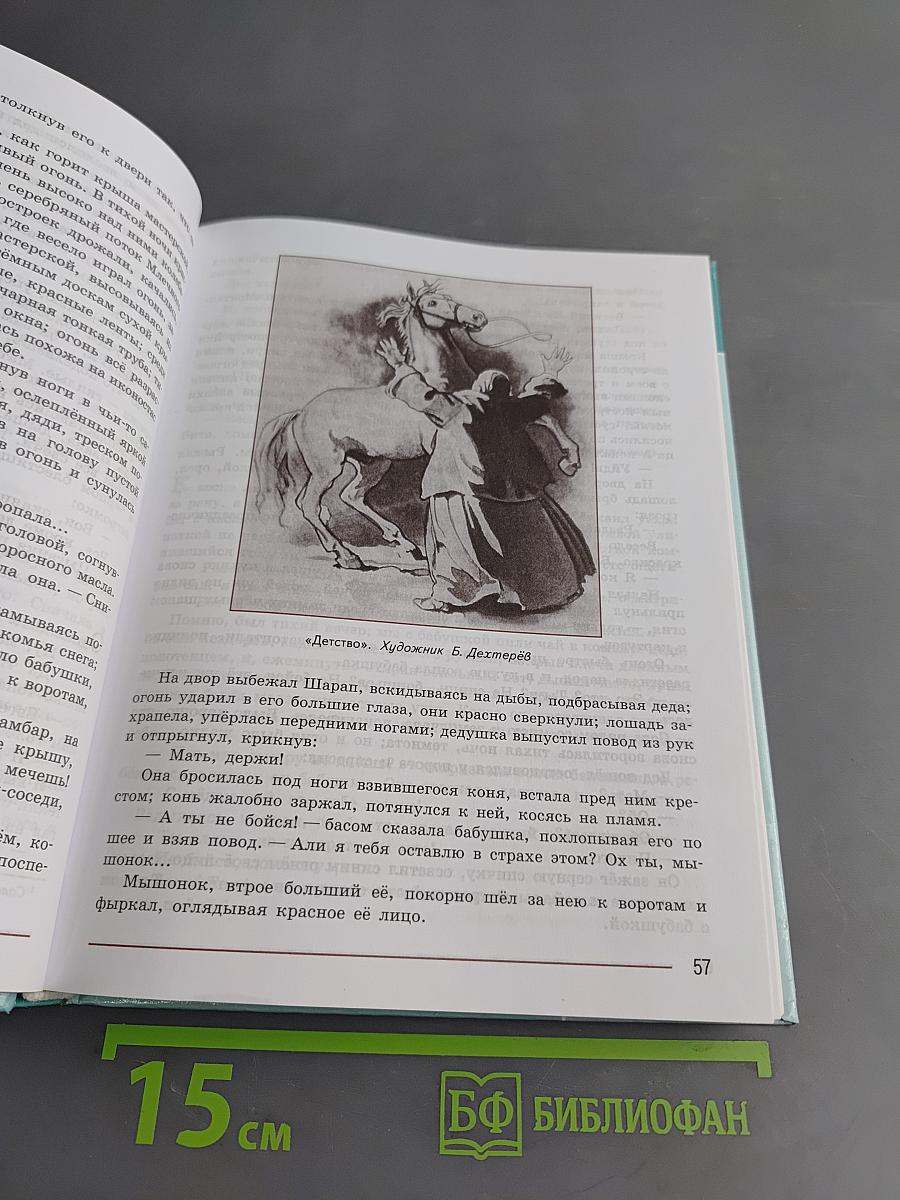 Литература. 7 класс. Учебник. Часть 2
