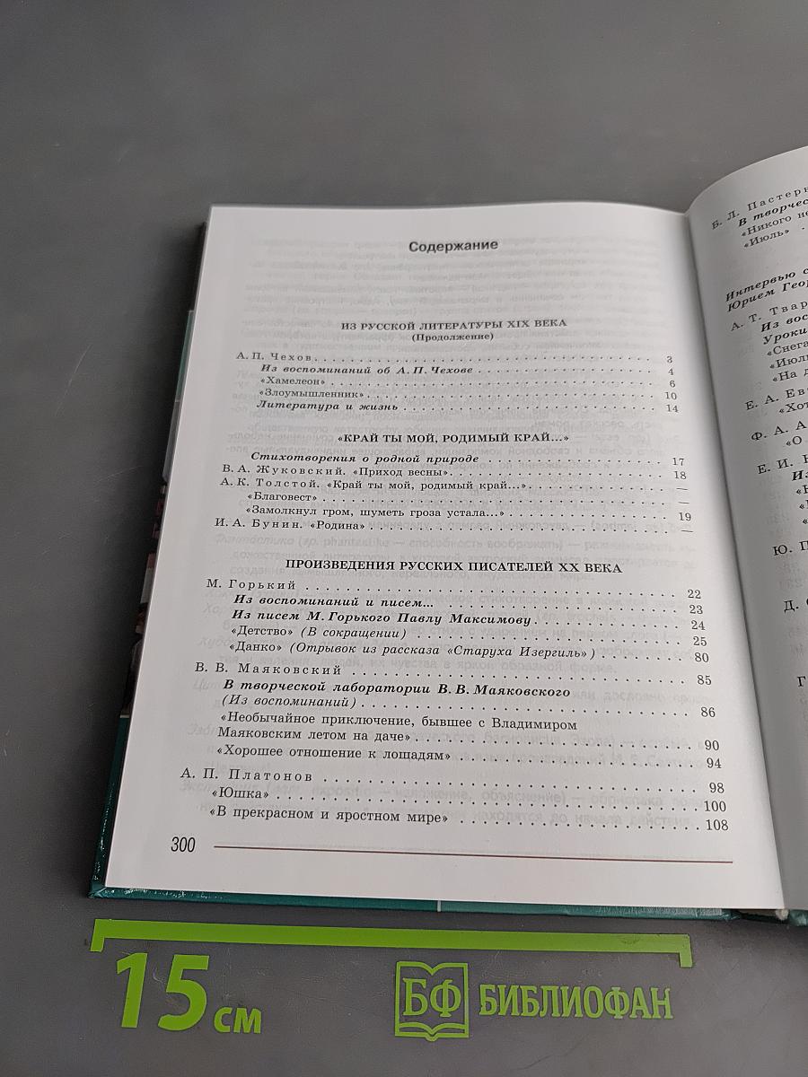 Литература. 7 класс. Учебник. Часть 2