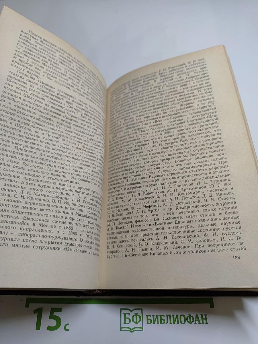 История русской литературы XIX века. 70-90-е годы