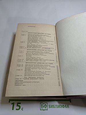 История русской литературы XIX века. 70-90-е годы
