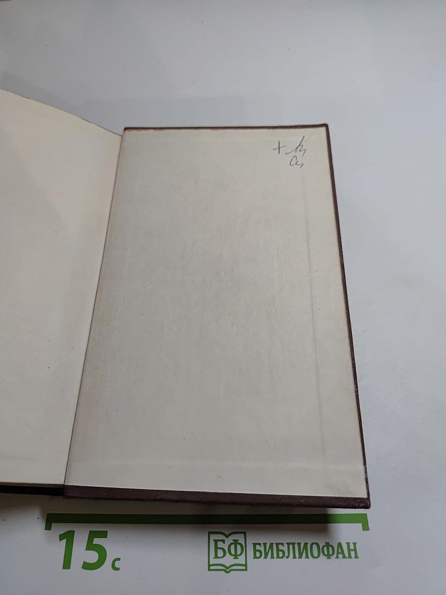 История русской литературы XIX века. 70-90-е годы