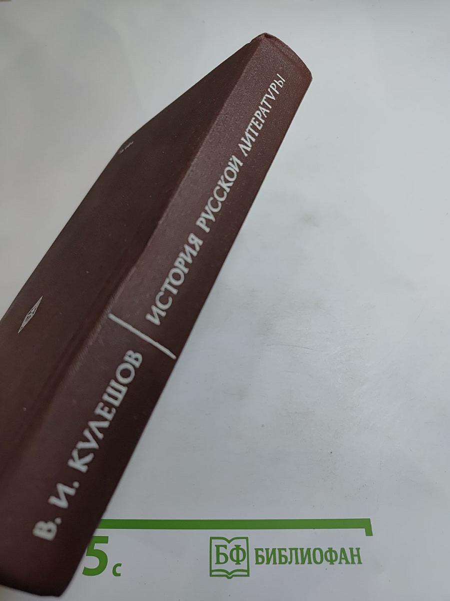 История русской литературы XIX века. 70-90-е годы