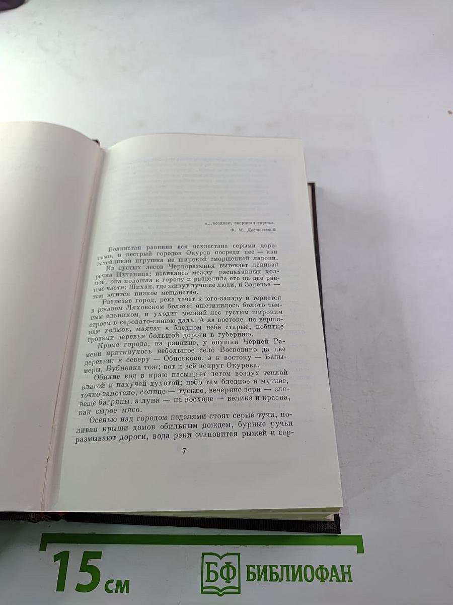 Собрание сочинений. Том десятый: Городок Окуров. Жизнь Матвея Кожемякина. Наброски