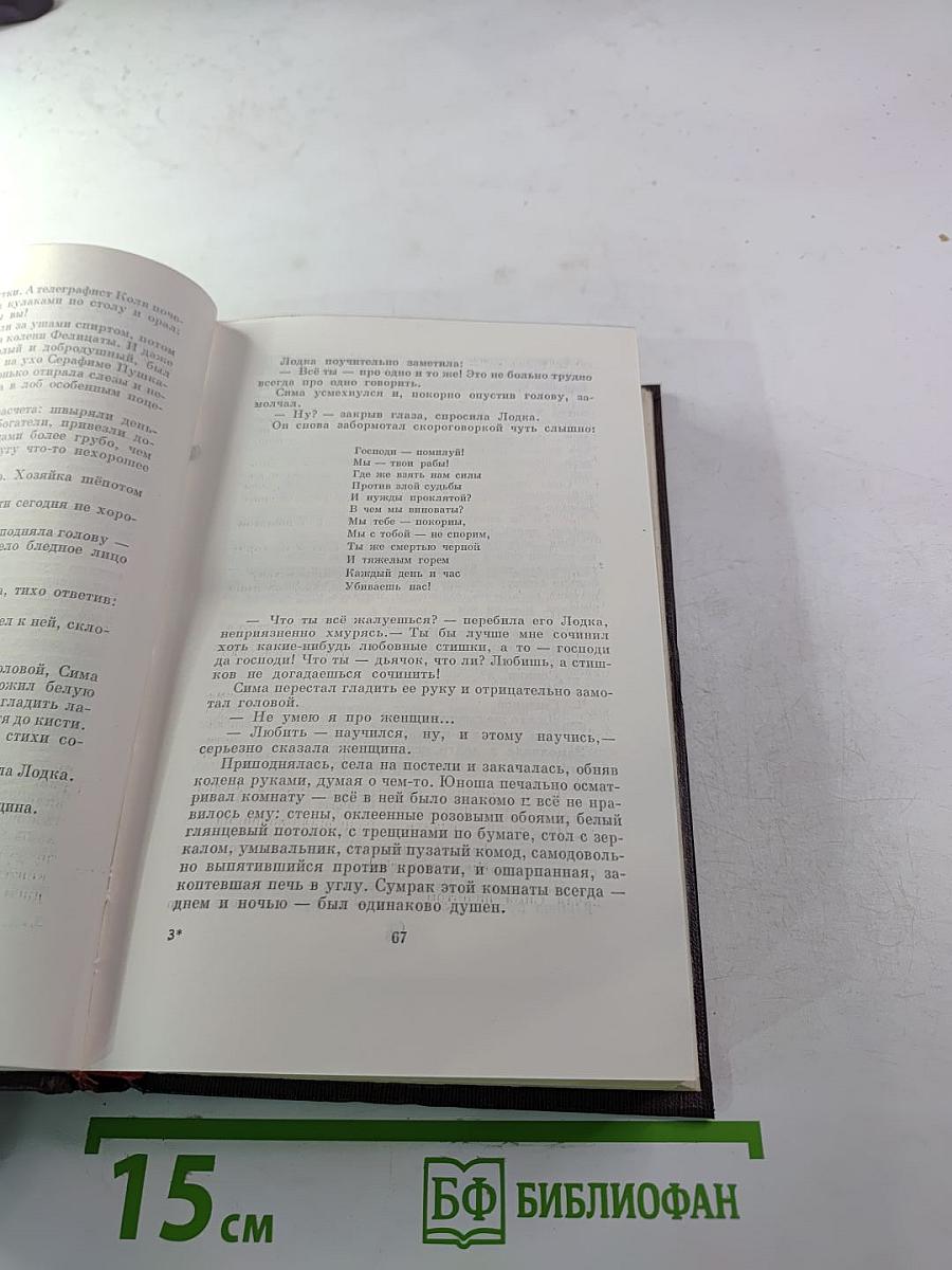 Собрание сочинений. Том десятый: Городок Окуров. Жизнь Матвея Кожемякина. Наброски
