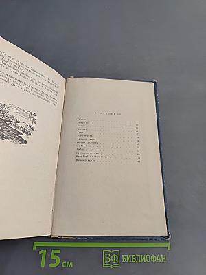 Васильев Курган
