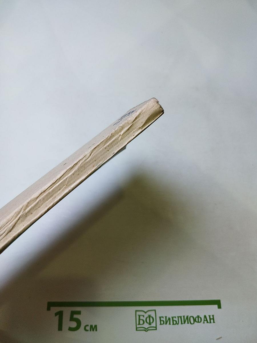 Die Abenteuer des Werner Holt und andere Erzählungen. Книга для чтения на немецком языке. Выпуск 5.