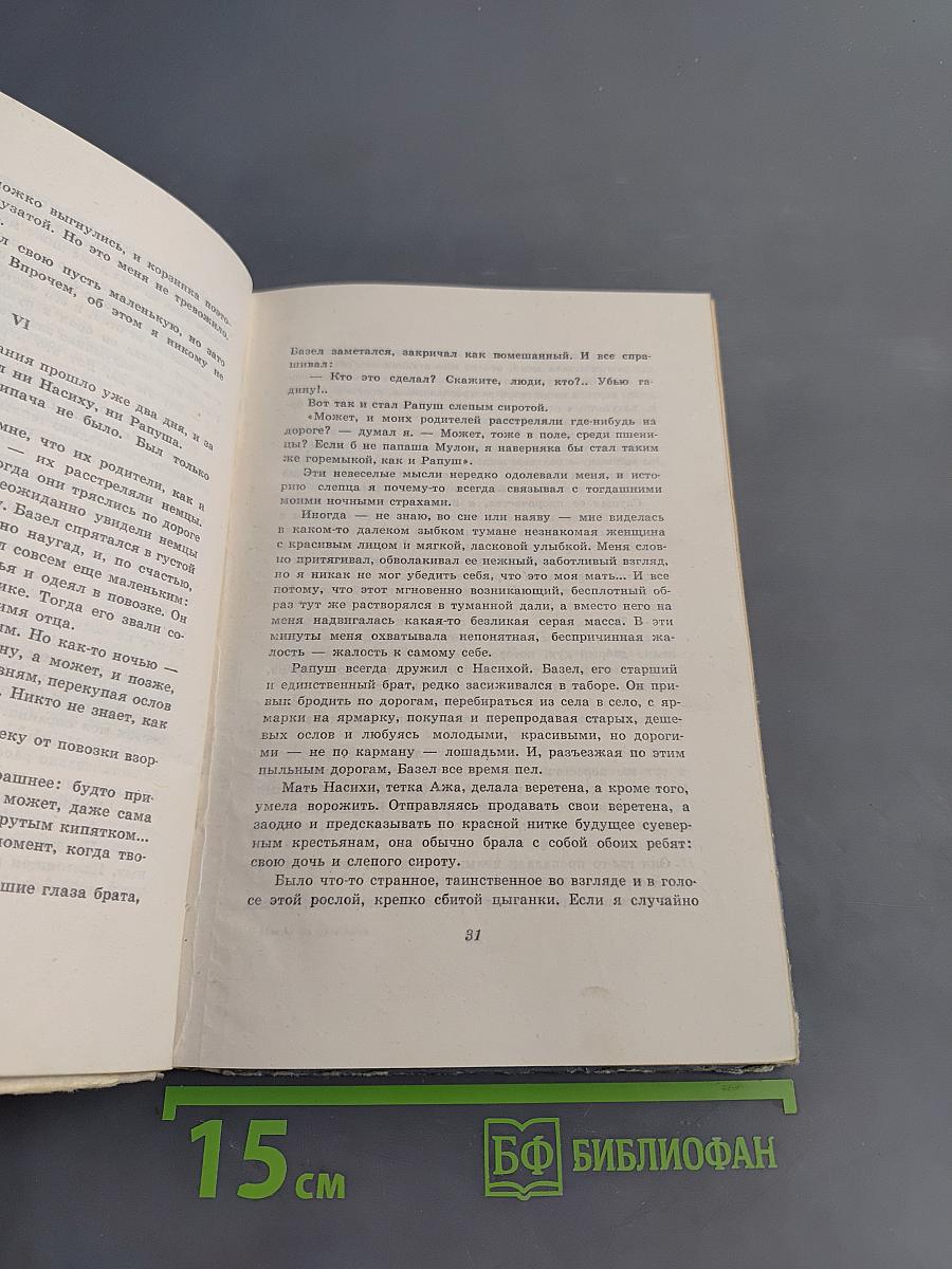 Цветы на пепелище
