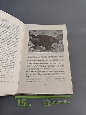 Питомцы зоопарка