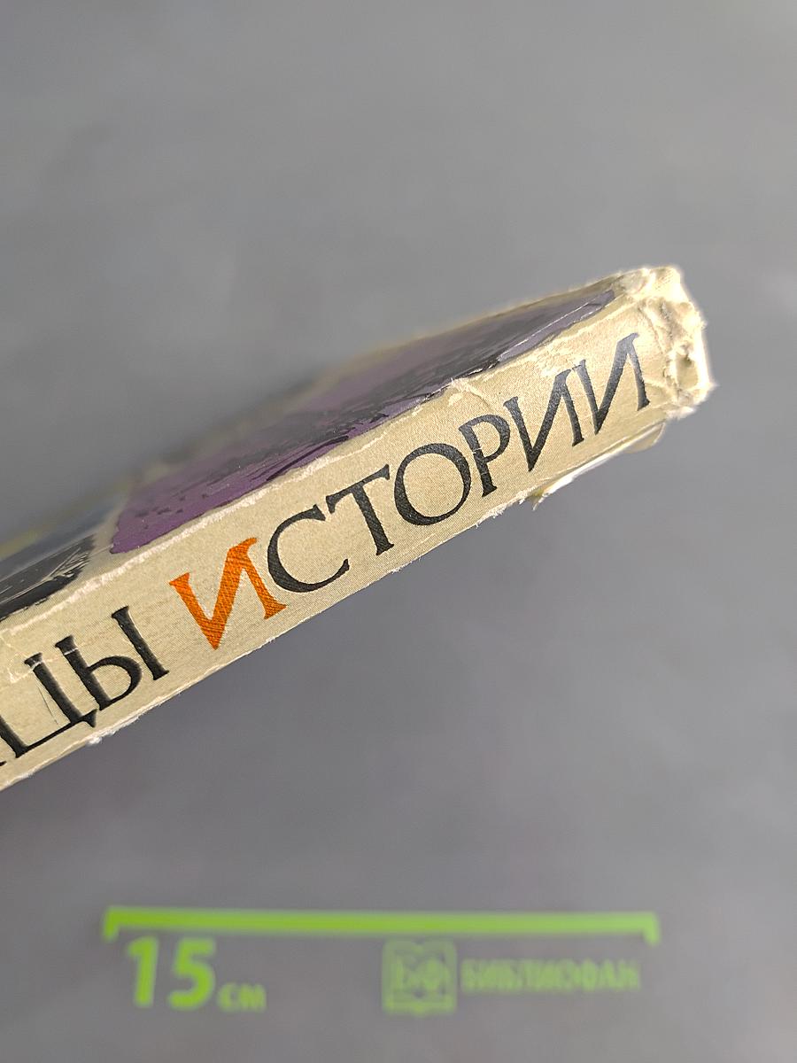 Каменные страницы истории. Рассказы об удивительных городах и знаменитых постройках