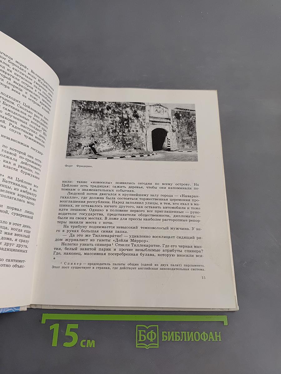 На острове сокровищ
