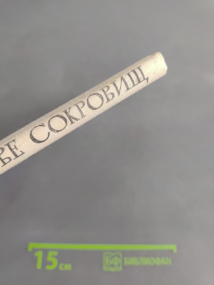 На острове сокровищ