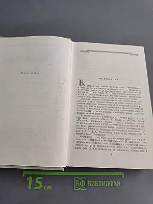 Педагогическая поэма. Том второй