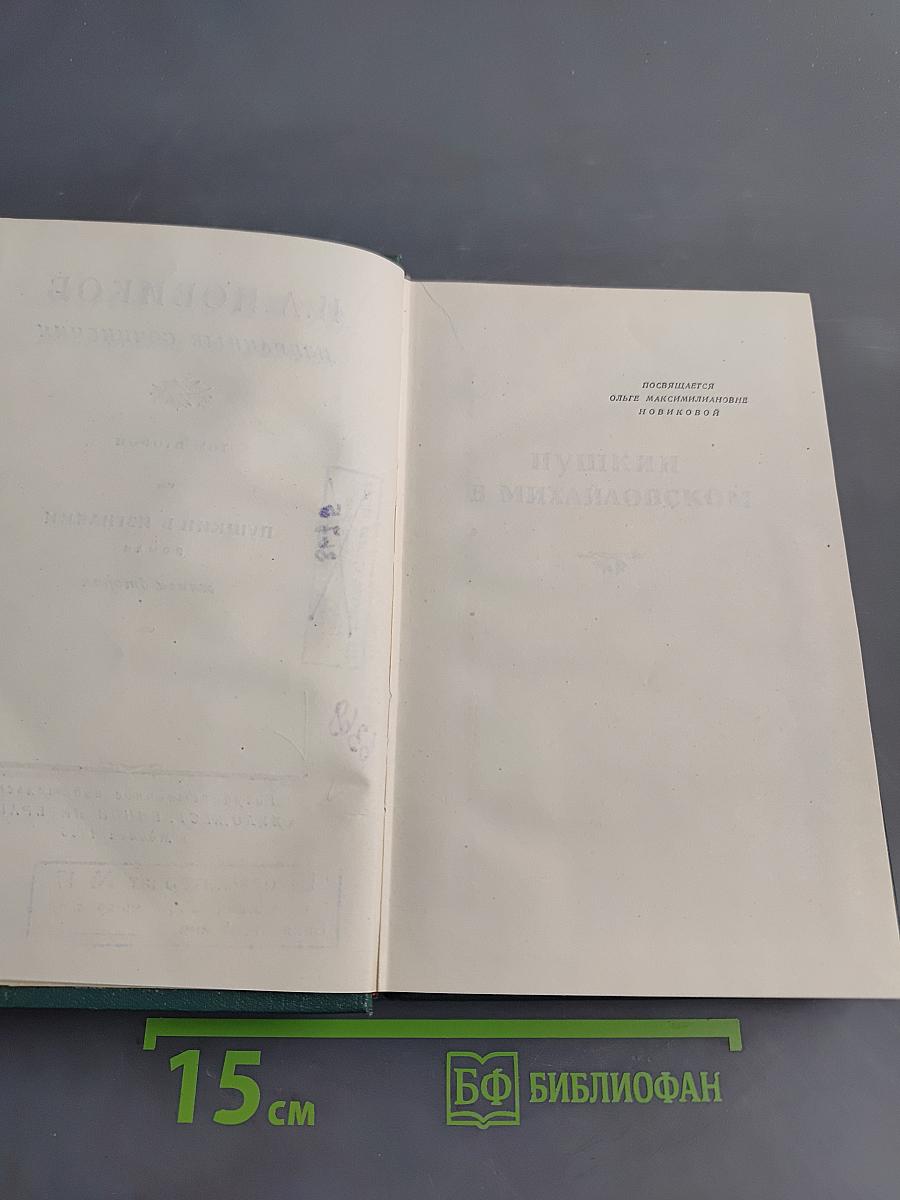 Избранные сочинения. Том второй. Пушкин в изгнании. Книга вторая