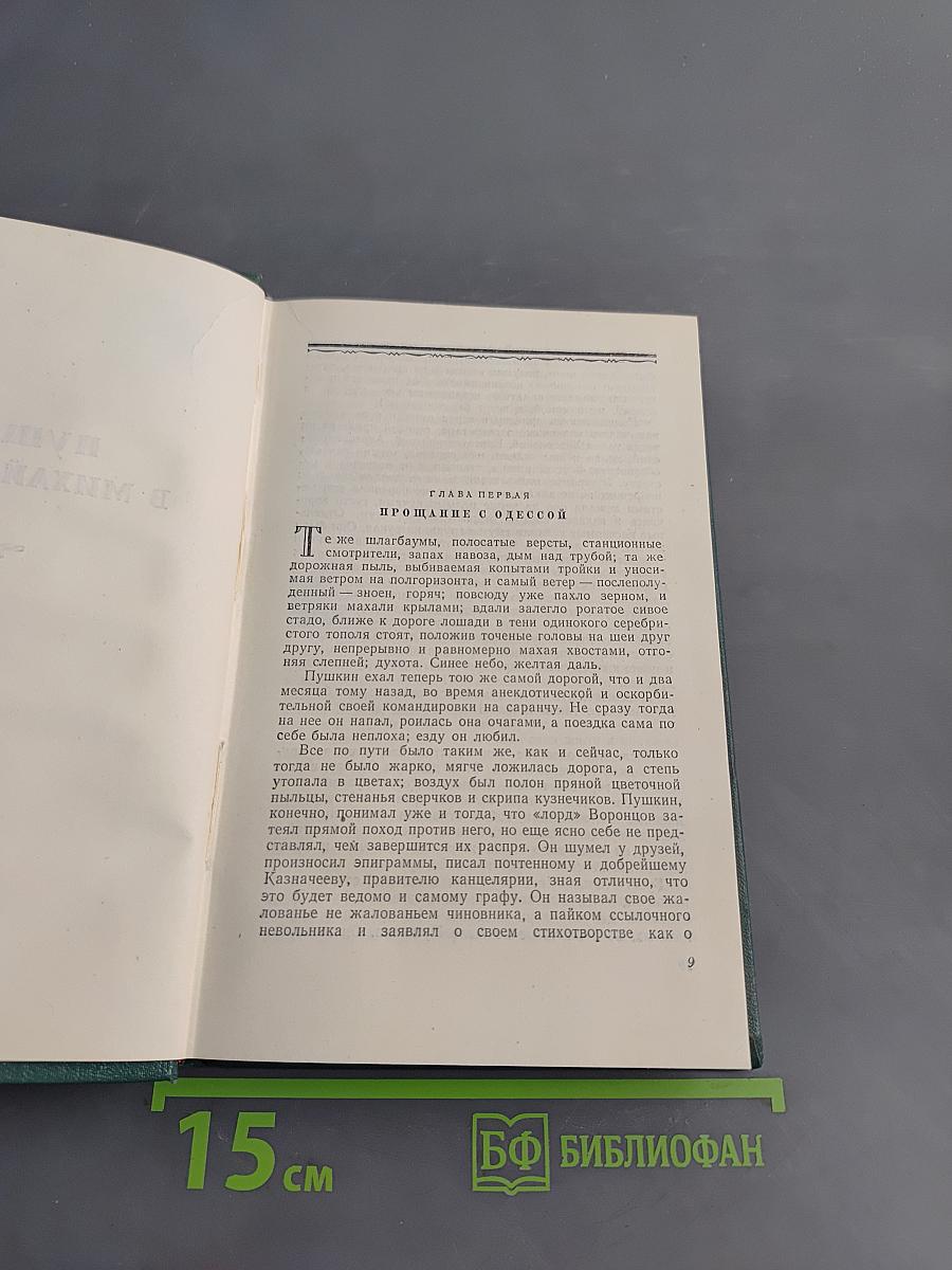 Избранные сочинения. Том второй. Пушкин в изгнании. Книга вторая