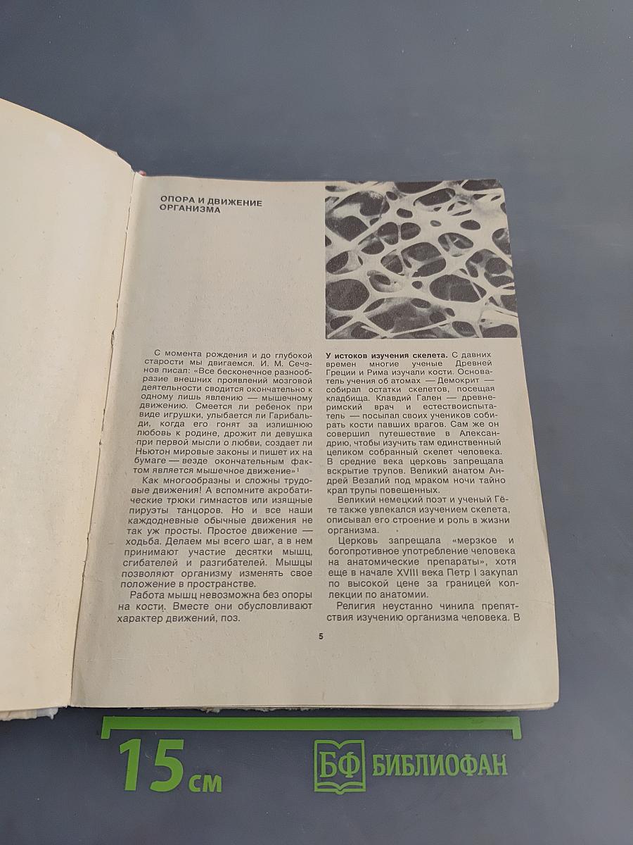 Книга для чтения по анатомии, физиологии и гигиене человека