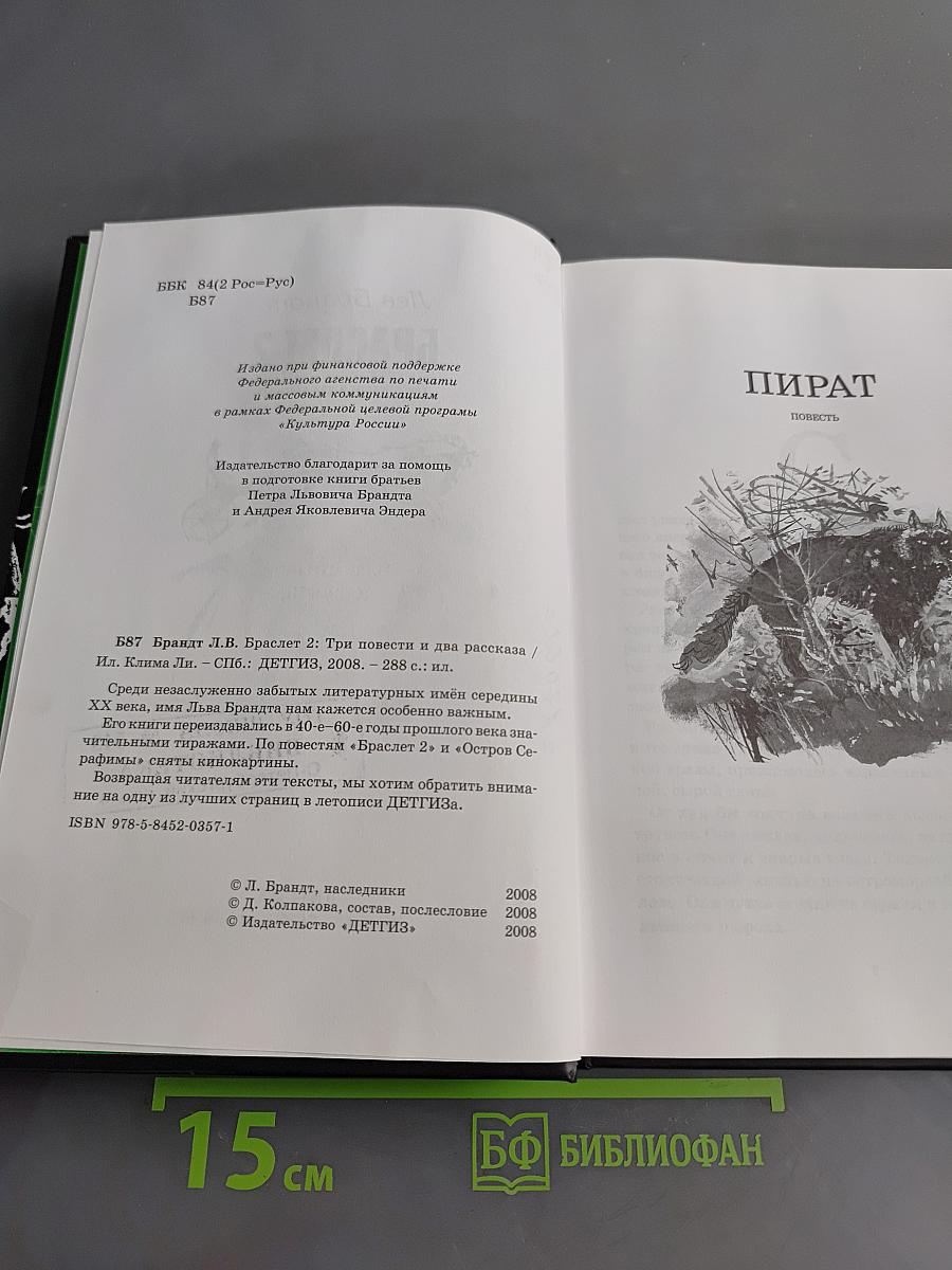 Браслет 2