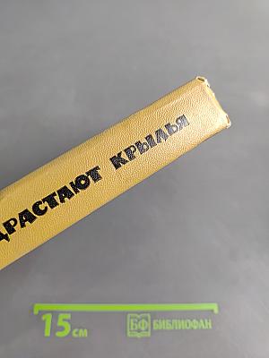 У птенцов подрастают крылья