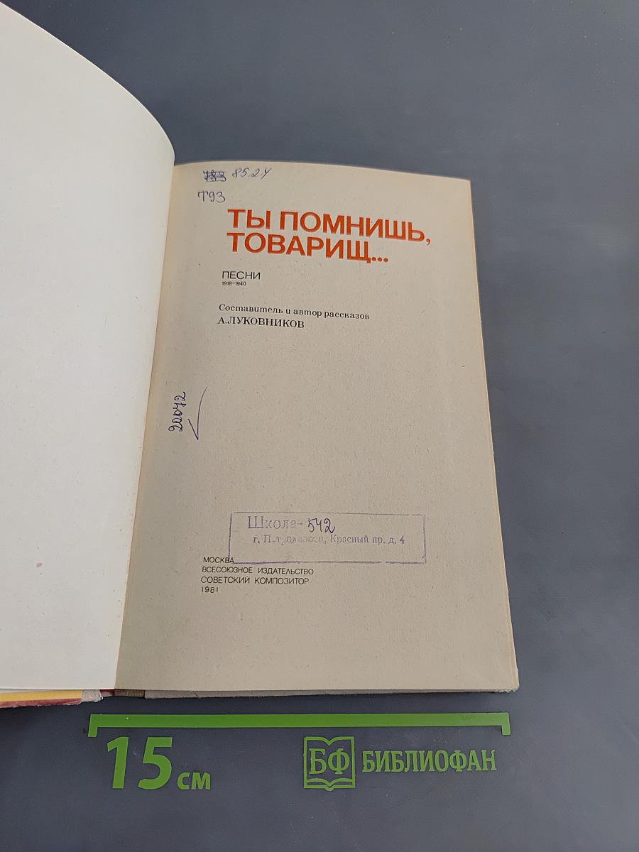 Ты помнишь, товарищ...