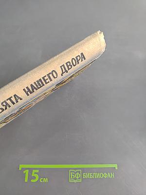 Ребята нашего двора