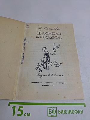 Пегашкин маскарад