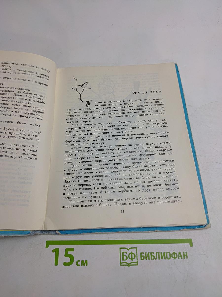 Говорящий грач