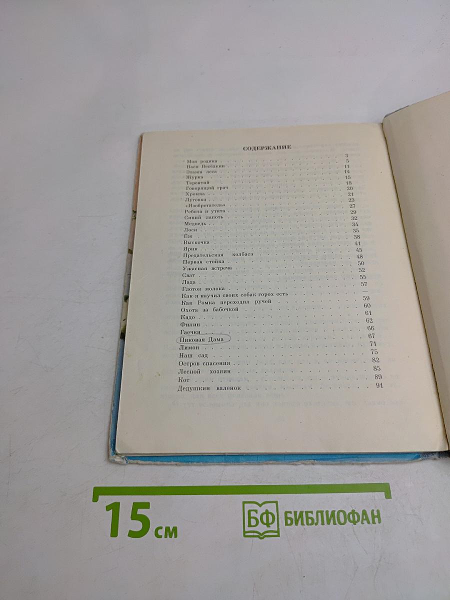 Говорящий грач
