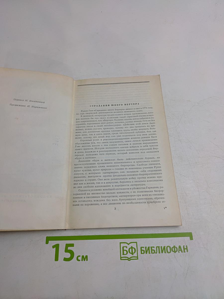 Страдания юного Вертера
